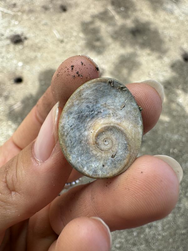 Hogyan válassz spirituális kurzust tudatosan?